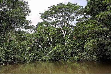 传闻：《地平线：零之曙光》PS5重制版并非由游骑兵负责开发